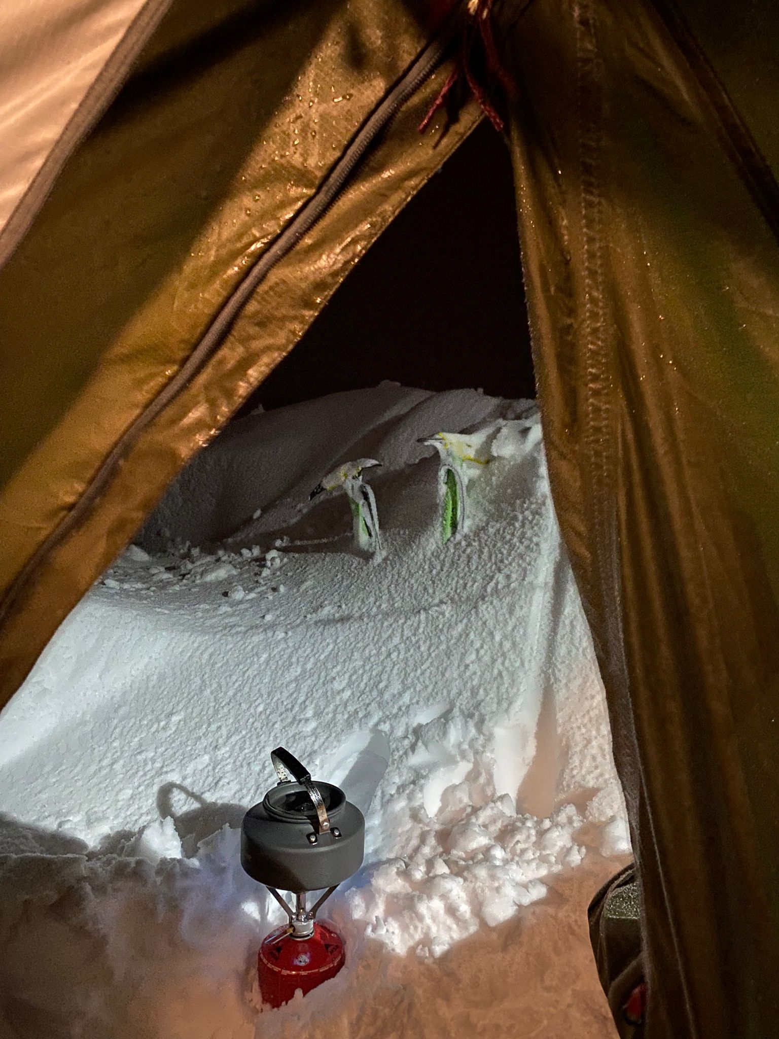 whatsapp image 2026 02 08 at 11.49.29 (2)