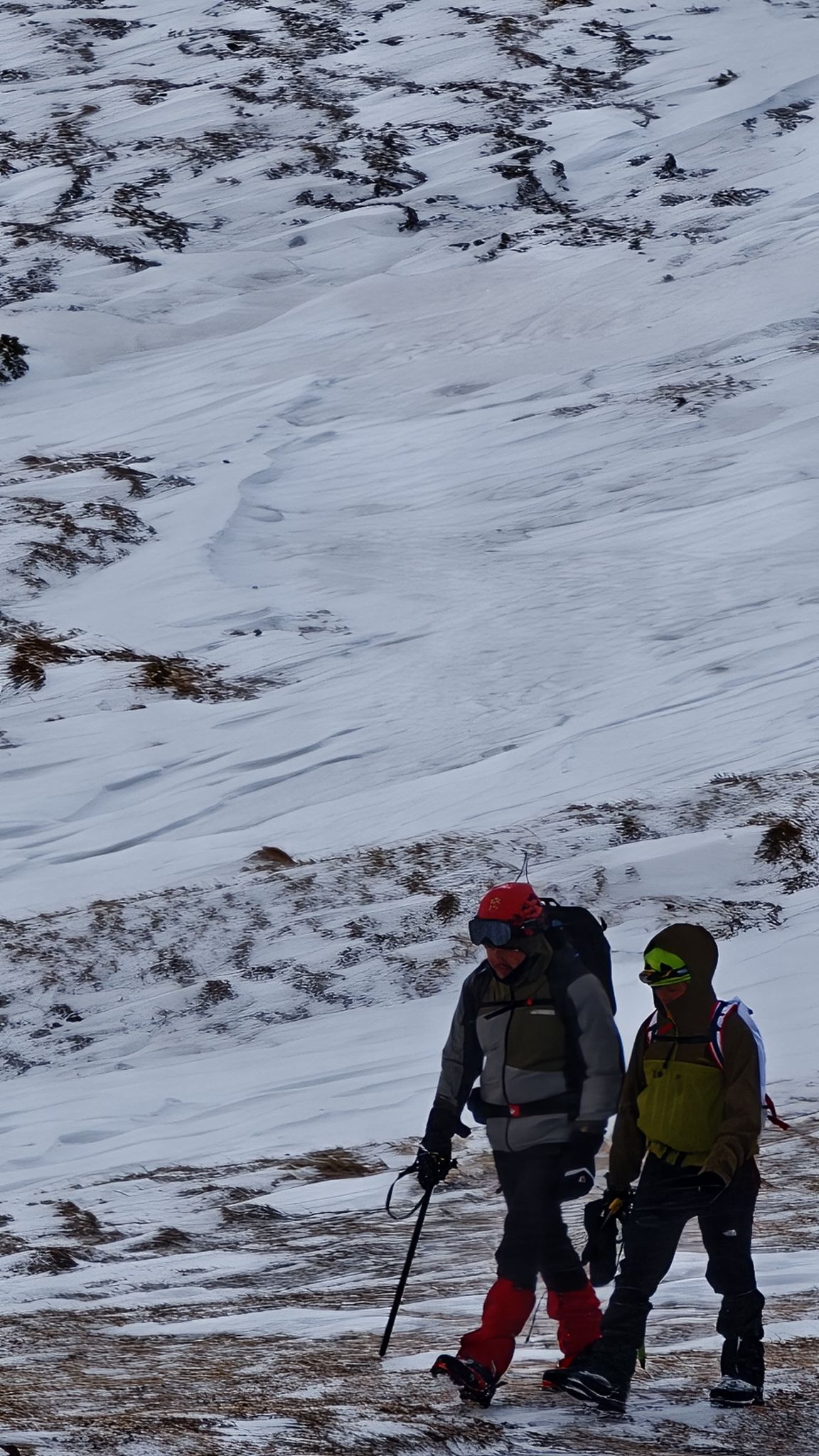 whatsapp image 2026 02 08 at 11.49.29 (4)