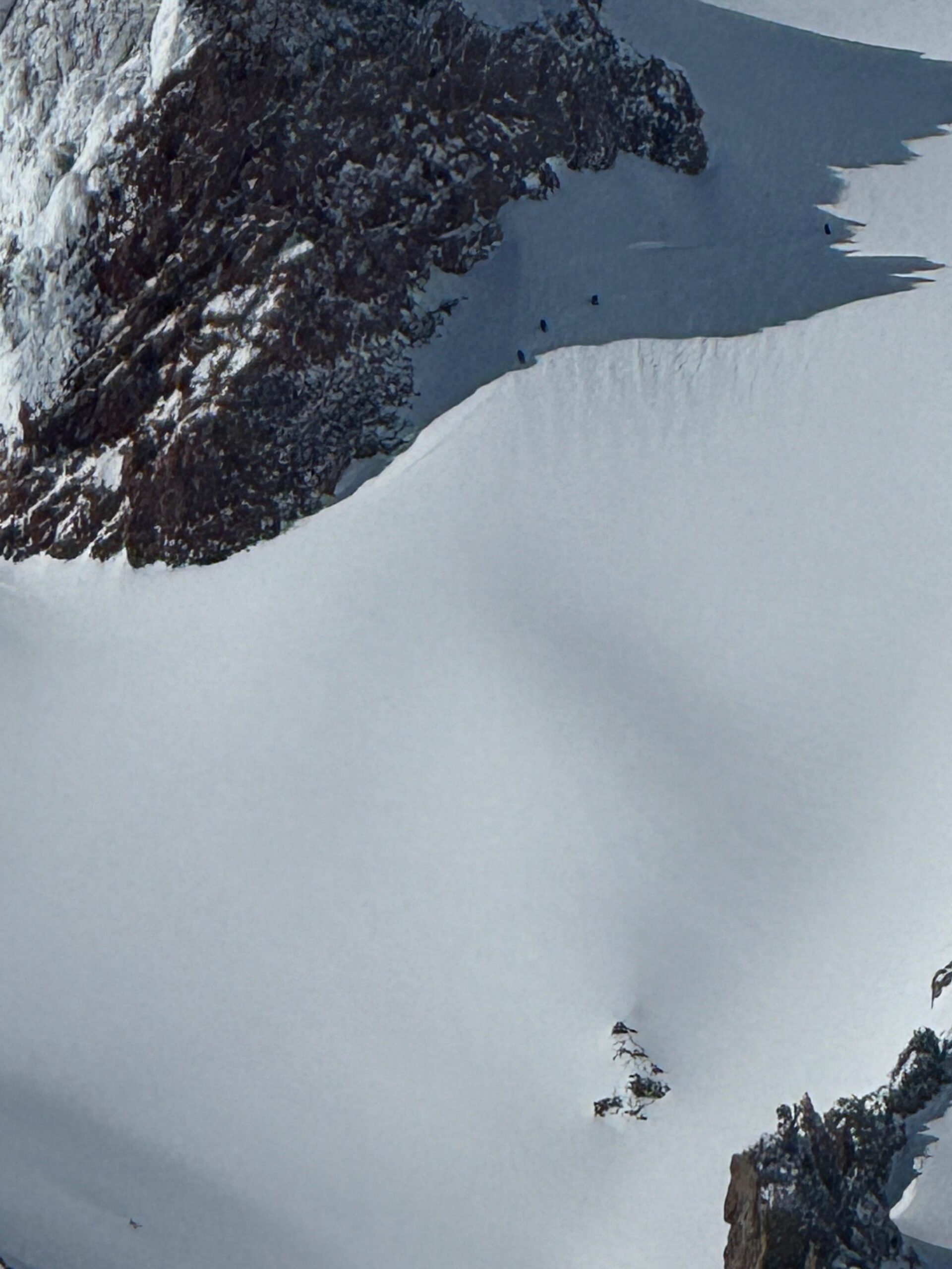 whatsapp image 2026 02 15 at 19.35.45 7