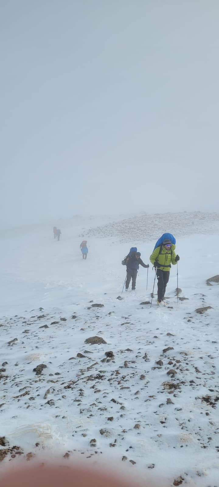 whatsapp image 2026 02 16 at 11.50.53