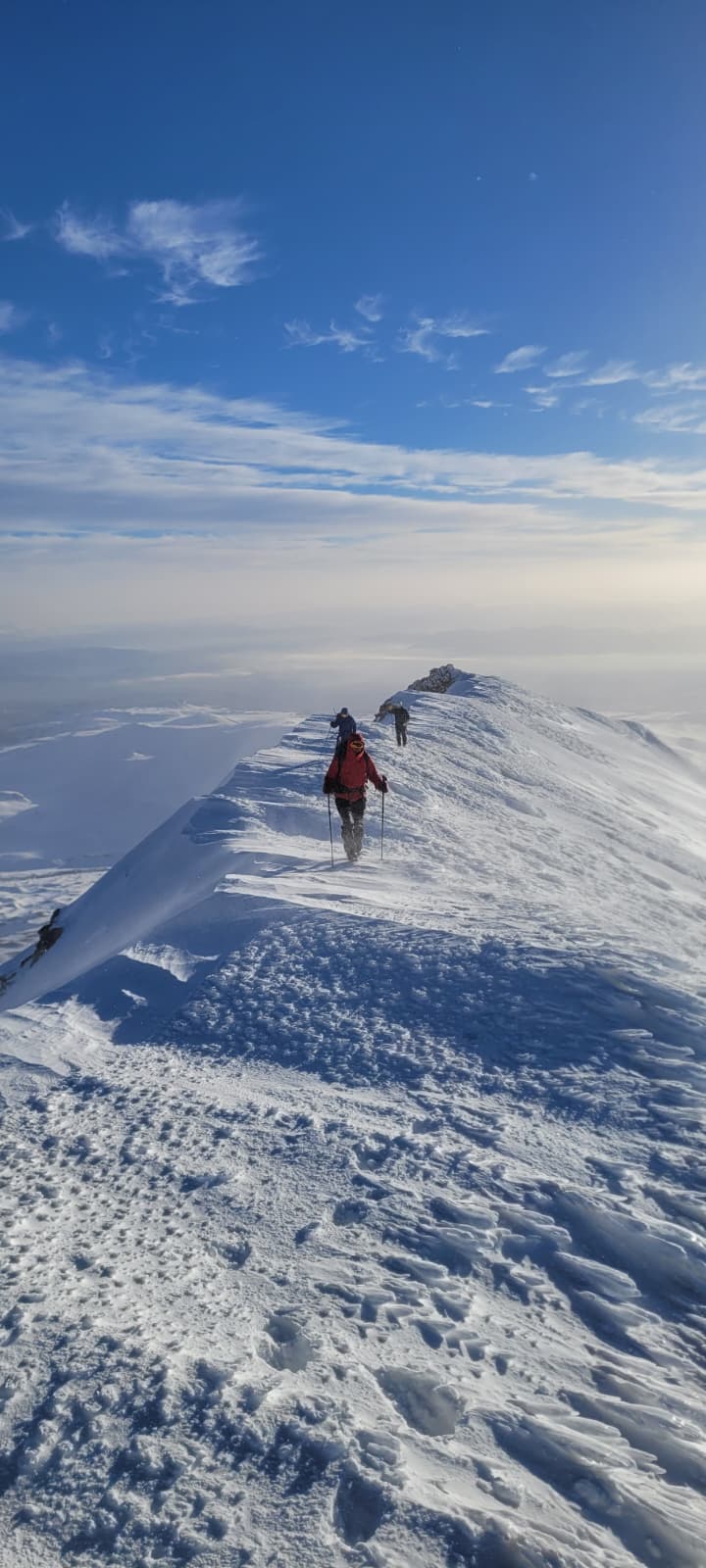 whatsapp image 2026 02 16 at 11.51.15