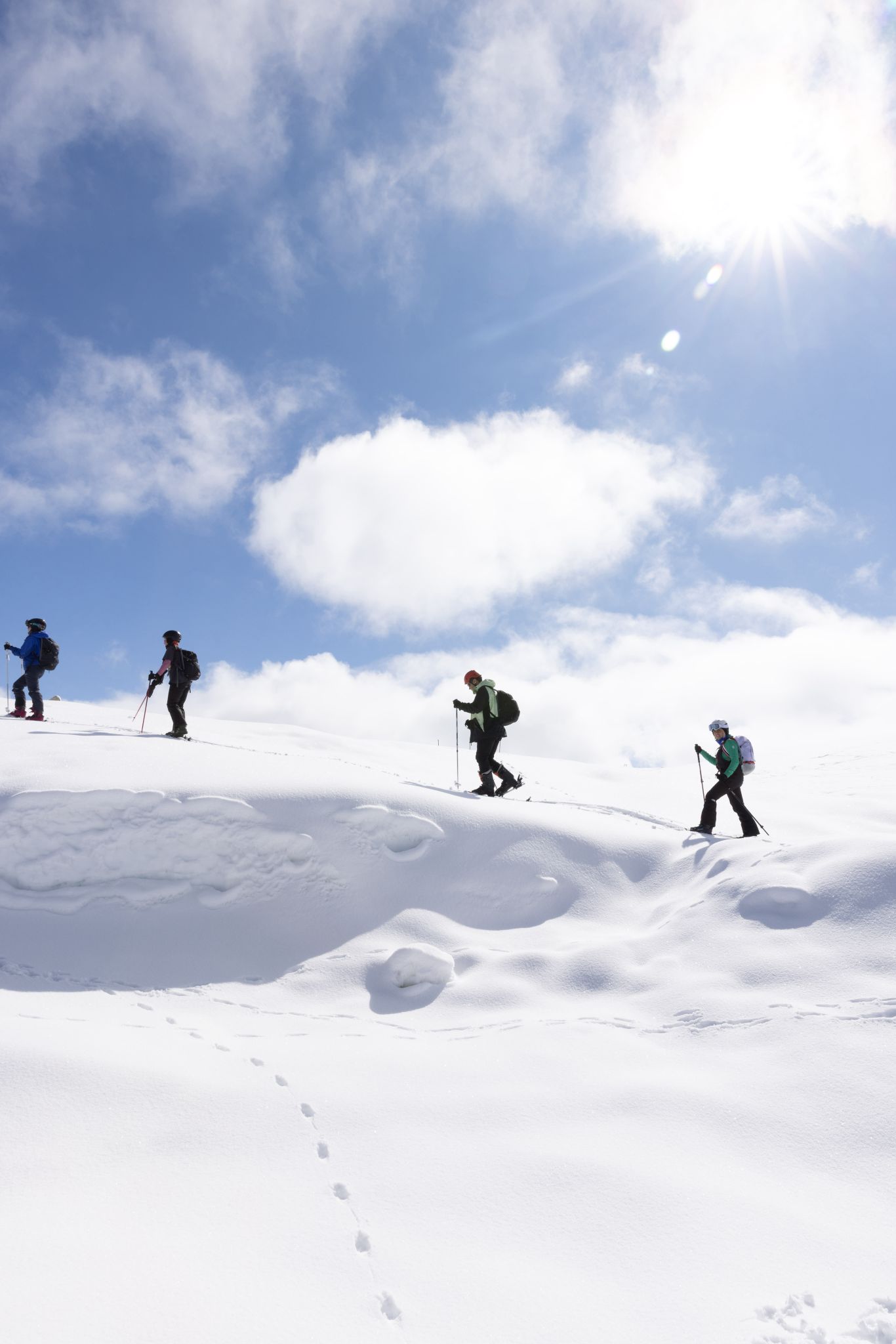 whatsapp image 2026 02 25 at 22.35.00 (1)