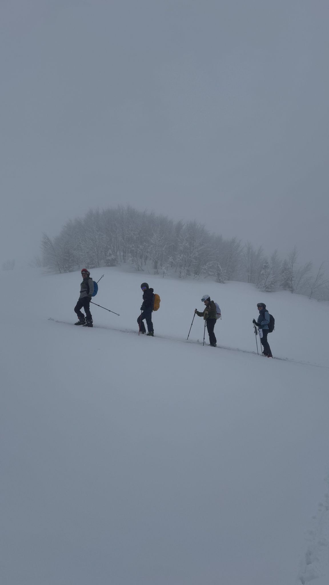 whatsapp image 2026 02 25 at 22.35.00 (3)