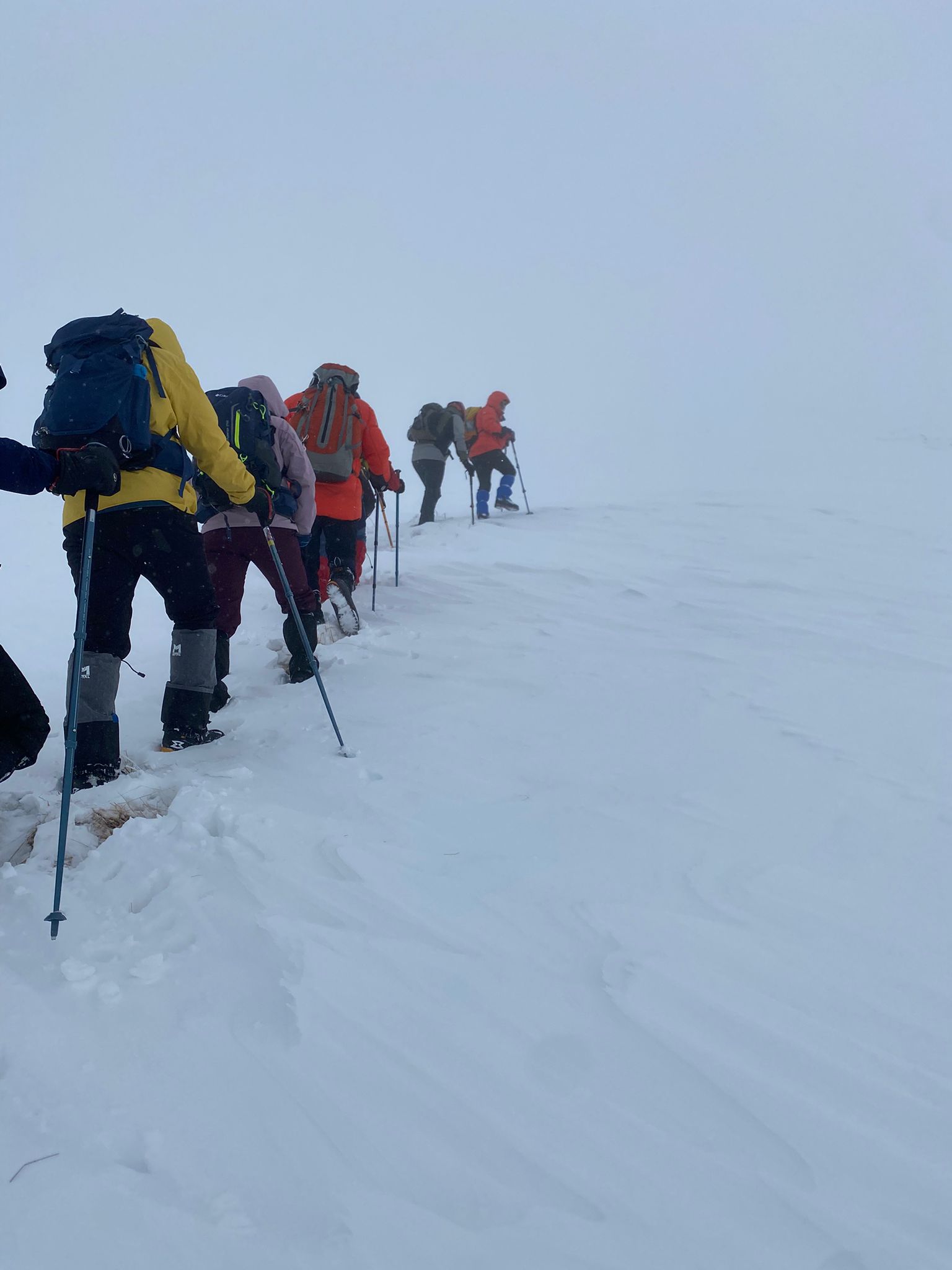 whatsapp image 2026 03 11 at 22.54.04 (1)