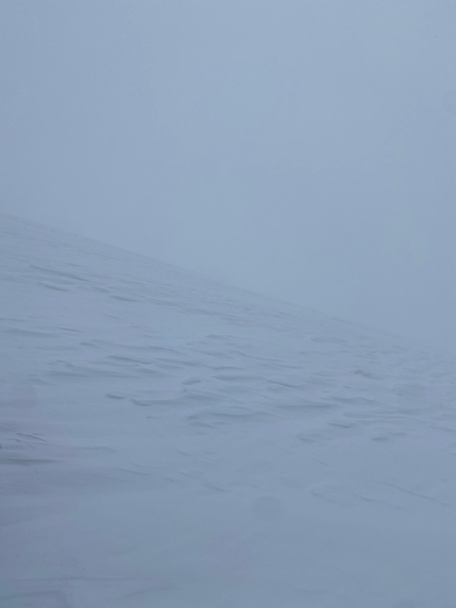 whatsapp image 2026 03 11 at 22.54.04 (2)