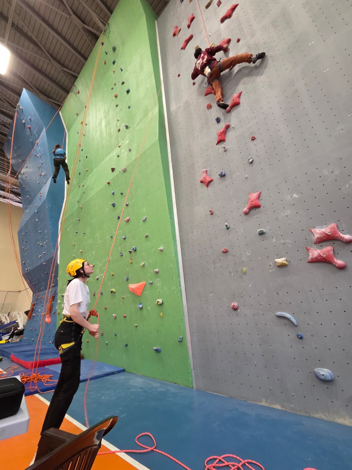 whatsapp image 2026 04 14 at 11.11.14